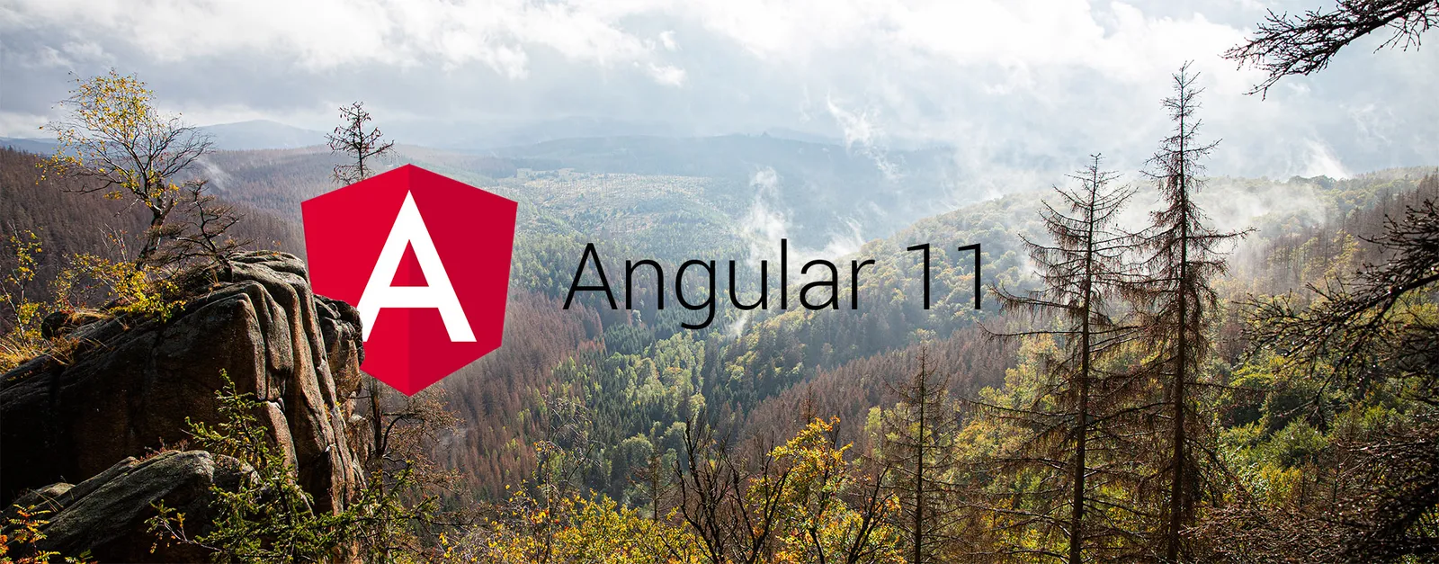 Angular 11 ist da!