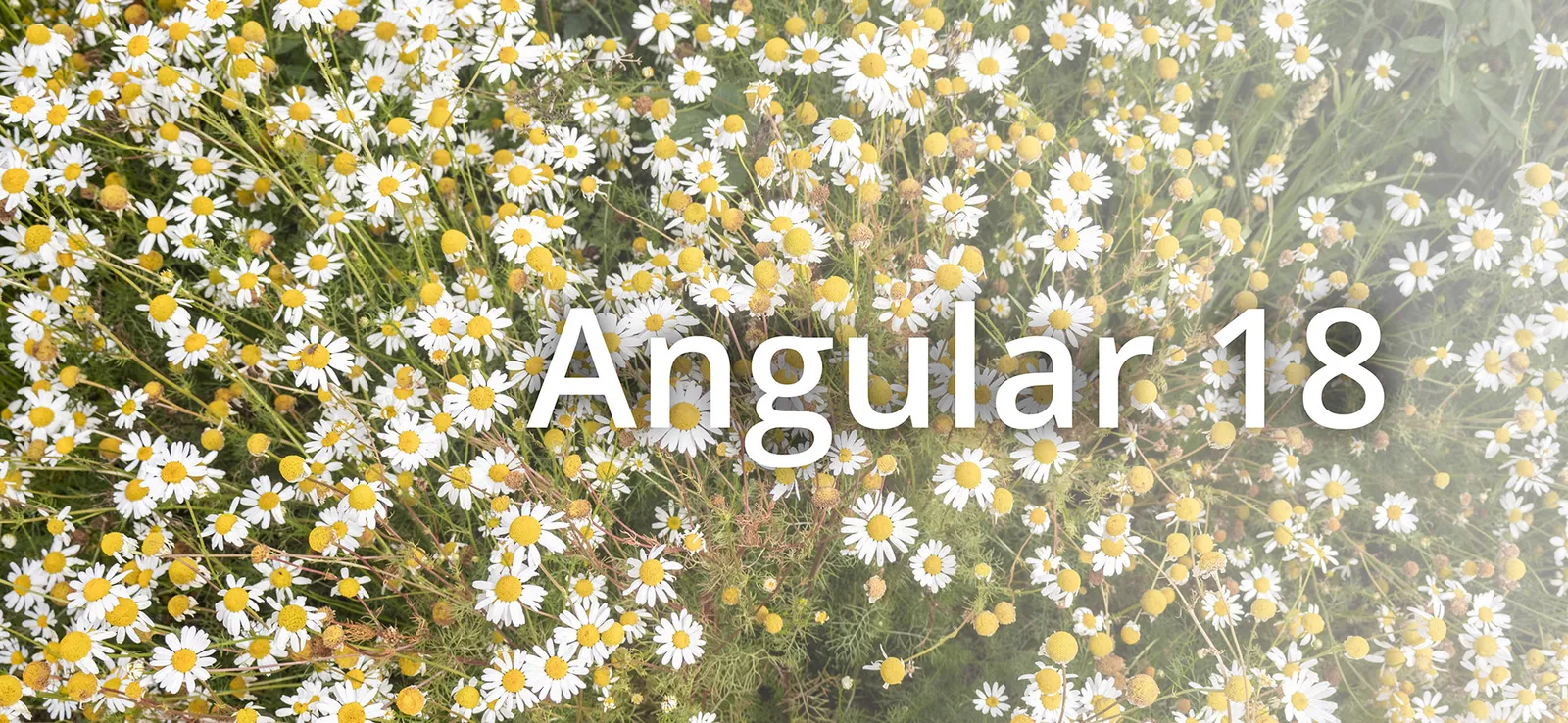 Angular 18 ist da: Signals, Signals, Signals!